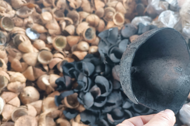 为什么越南90％的椰壳炭化料卖不出高价？